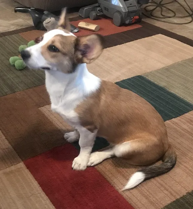 Petco 2