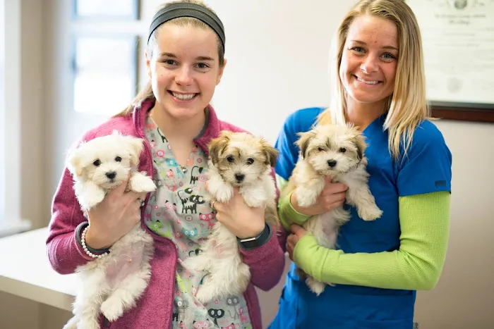 North Main Animal Hospital 1