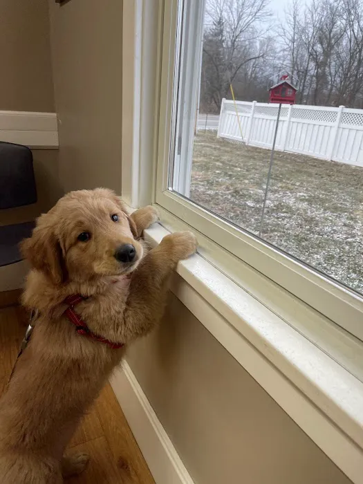 North Main Animal Hospital 5