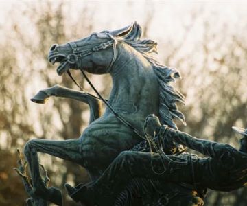Mid-Rivers Equine Centre