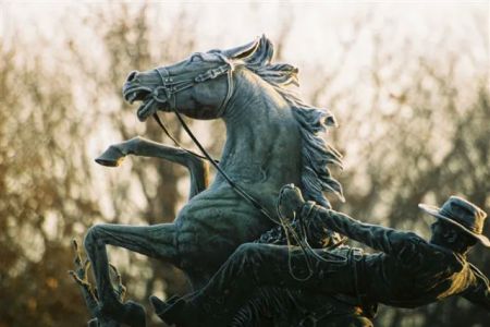 Mid-Rivers Equine Centre