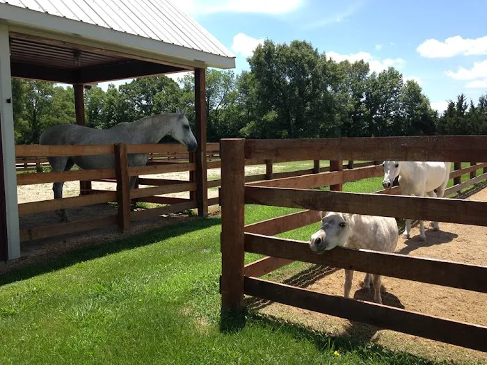 Mid-Rivers Equine Centre 12