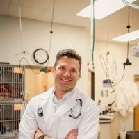 Animal Medical Center Wentzville ico