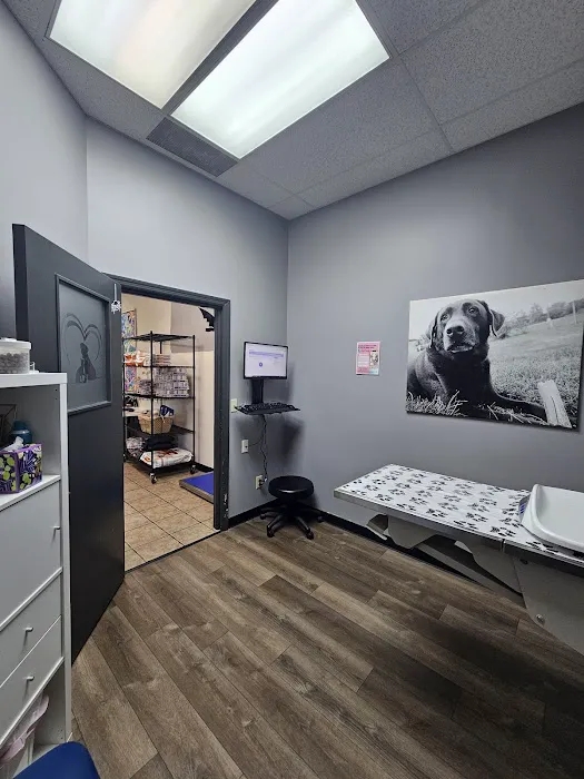 Animal Medical Center Wentzville 12