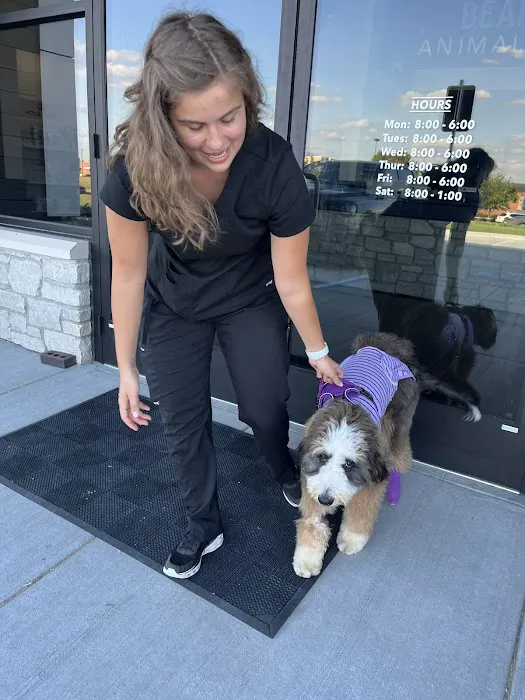 Bear Creek Animal Hospital 12