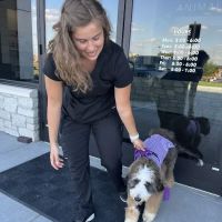 Bear Creek Animal Hospital ico
