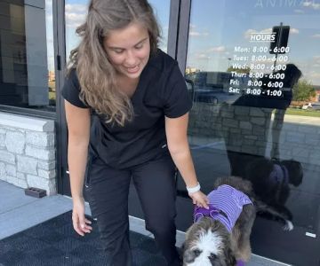 Bear Creek Animal Hospital
