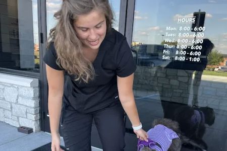 Bear Creek Animal Hospital