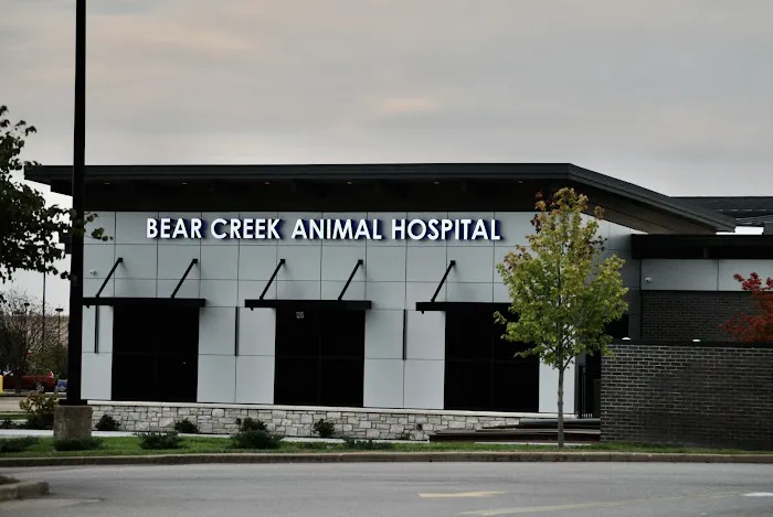 Bear Creek Animal Hospital 12
