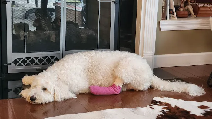 Bear Creek Animal Hospital 12