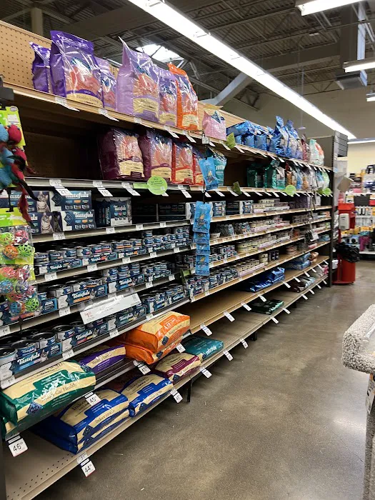 Petco 8