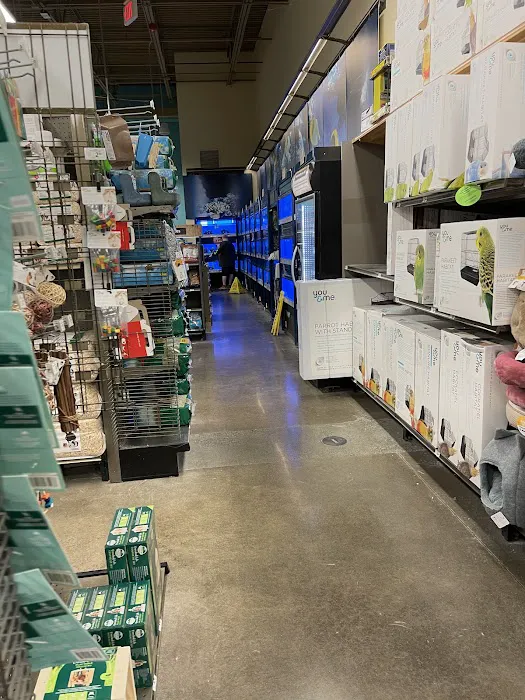 Petco 6