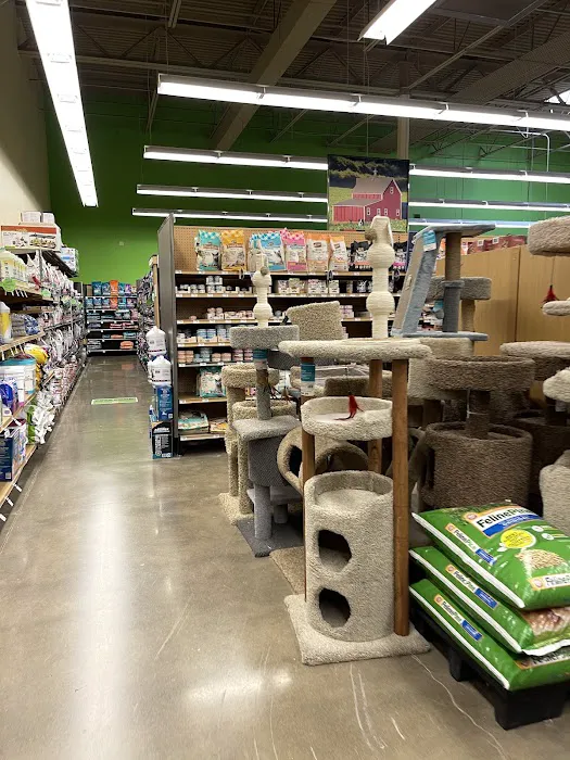 Petco 10