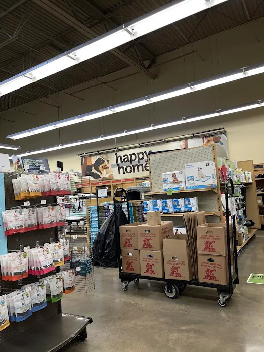 Petco 4