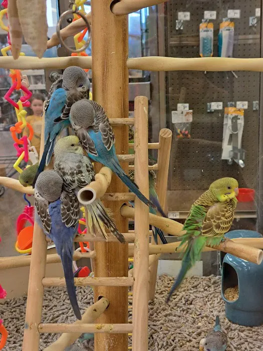 Petco 2