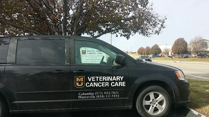 Mizzou Animal Cancer Center 12