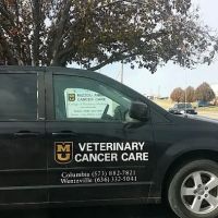 Mizzou Animal Cancer Center ico