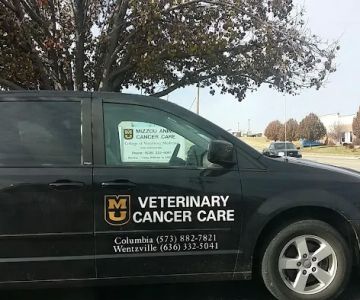Mizzou Animal Cancer Center