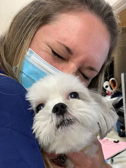 Missouri Veterinary Dermatology Center 12
