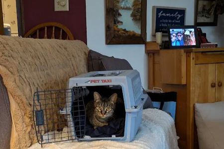 University of Missouri Veterinary Health Center at Wentzville