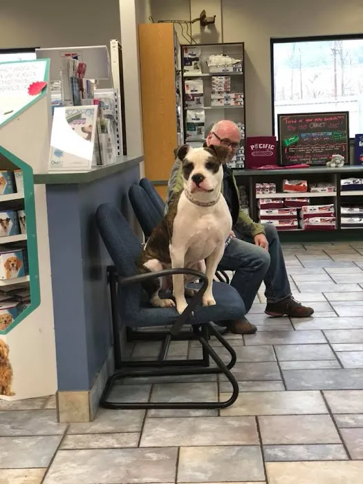 Pacific Animal Hospital 12