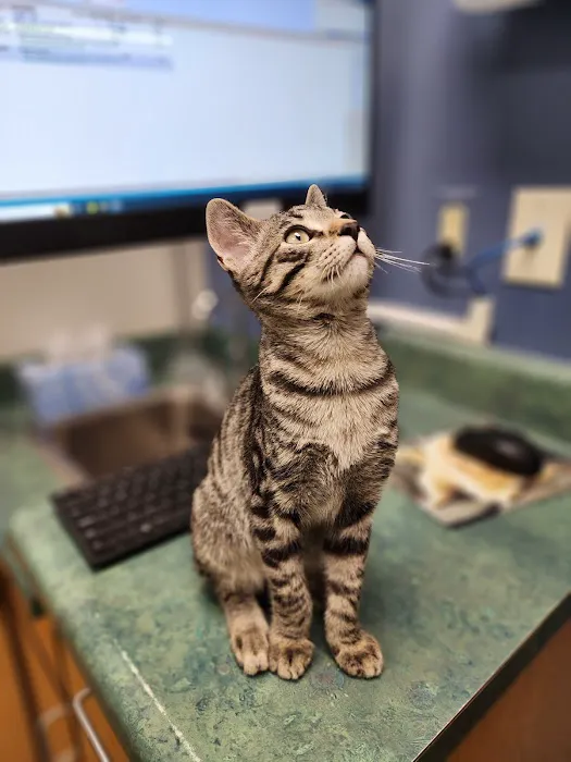 Pacific Animal Hospital 12
