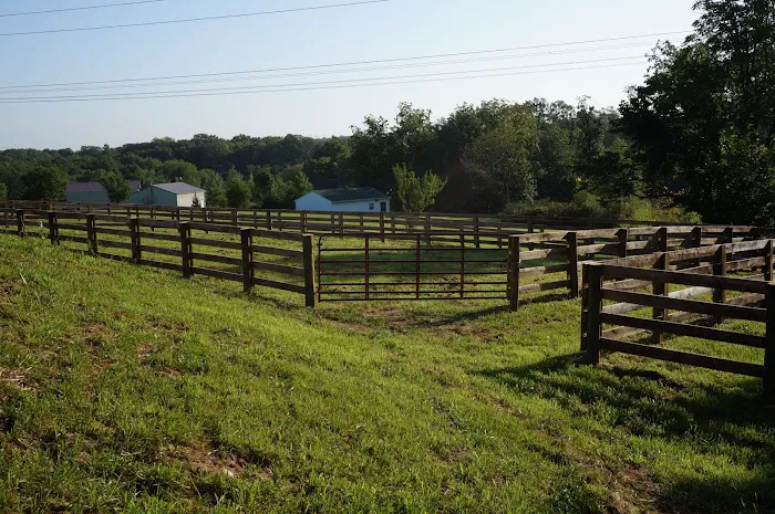Homestead Veterinary Hospital: Dr. Mark Cassells 12