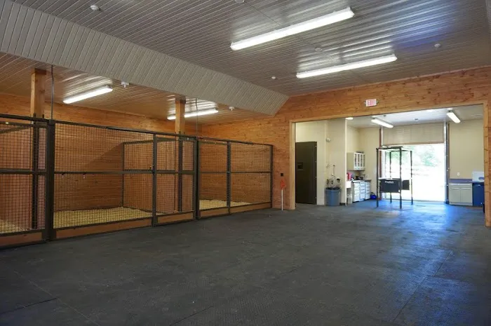 Homestead Veterinary Hospital: Dr. Mark Cassells 12