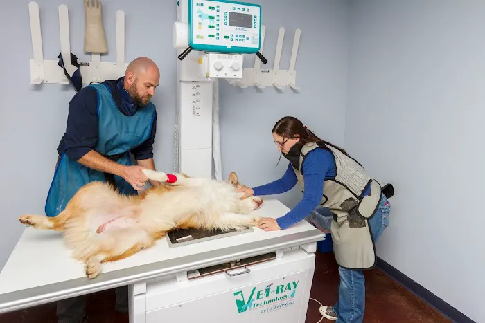 Homestead Veterinary Hospital: Dr. Mark Cassells 12