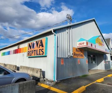 Nova Reptiles