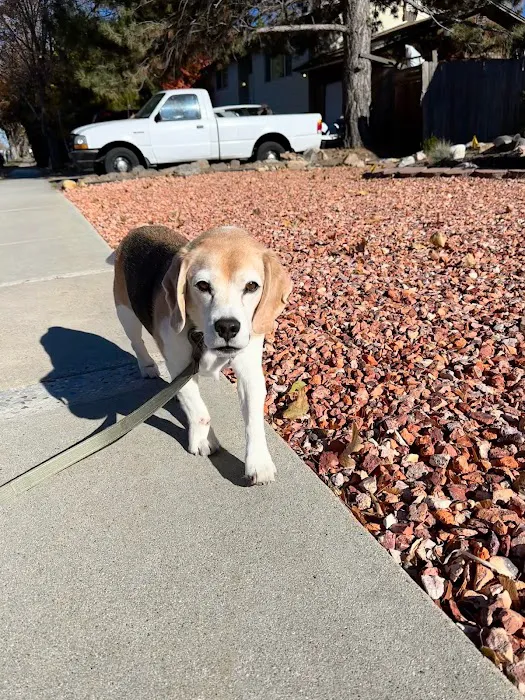 MedVet Urgent Care - Sandy 7