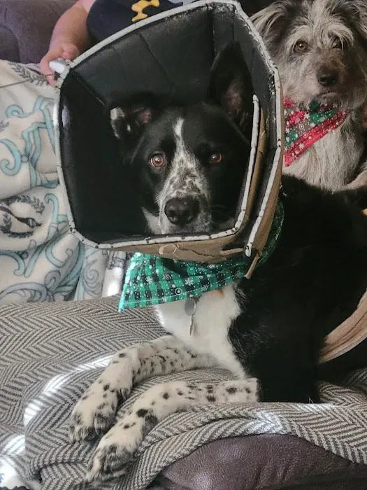 MedVet Urgent Care - Sandy 8