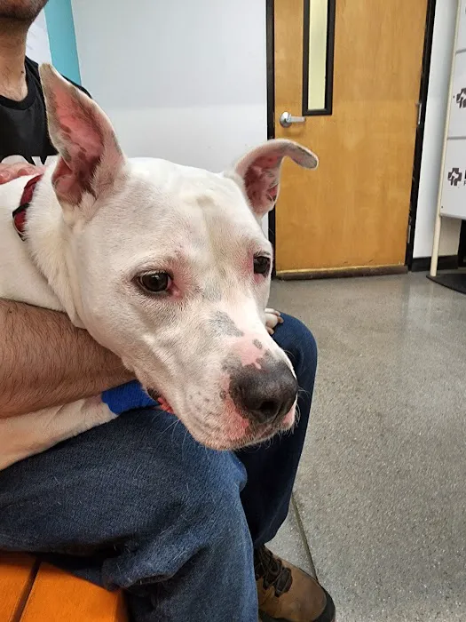 Banfield Pet Hospital 6