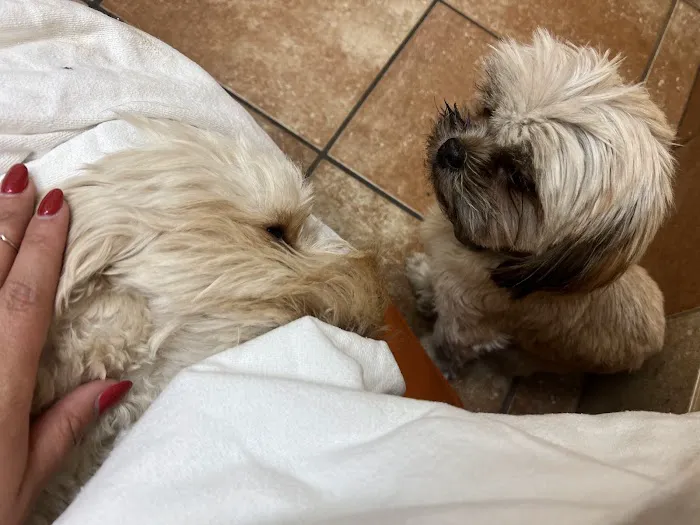 Banfield Pet Hospital 9