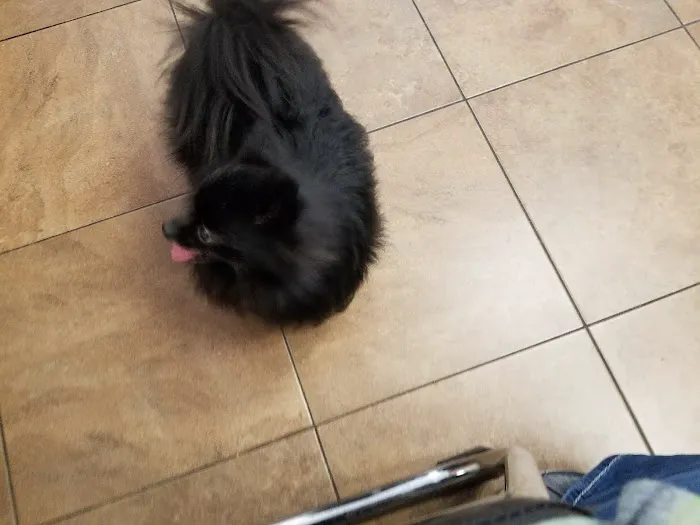 Sandy Animal Clinic 5