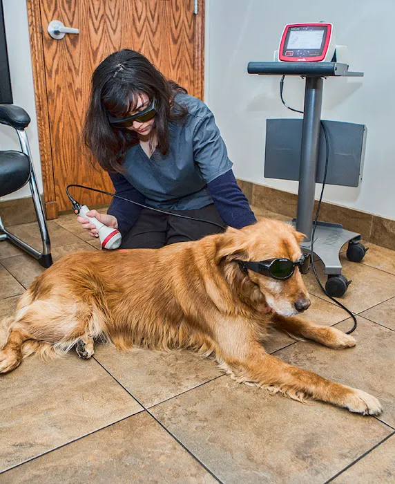 Sandy Animal Clinic 6