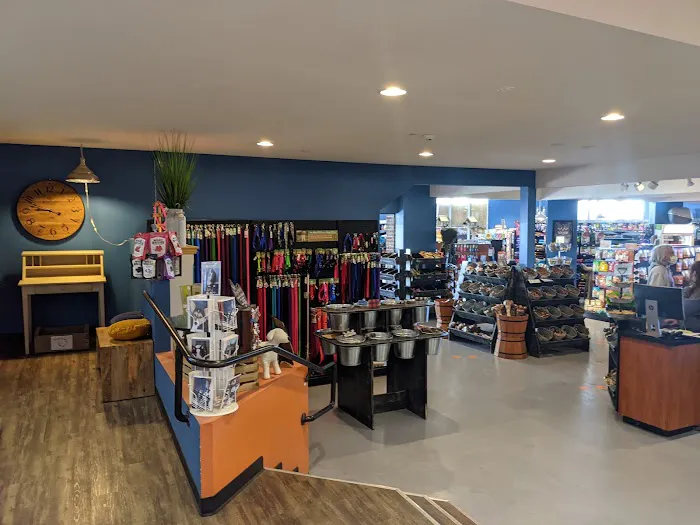The Pet Works 1