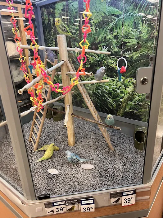 Petco 2