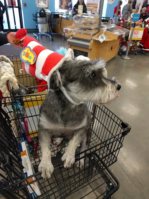 Petco 1