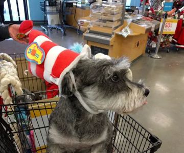 Petco