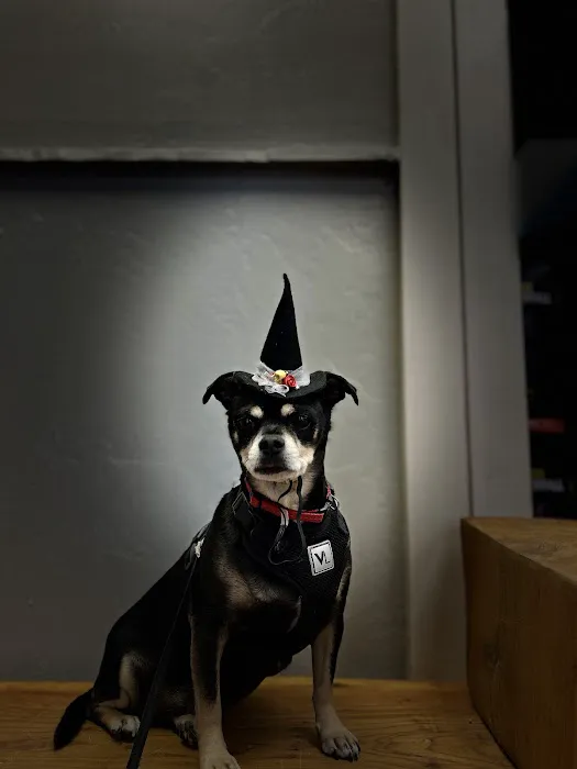 Rain or shine pets LLC 1