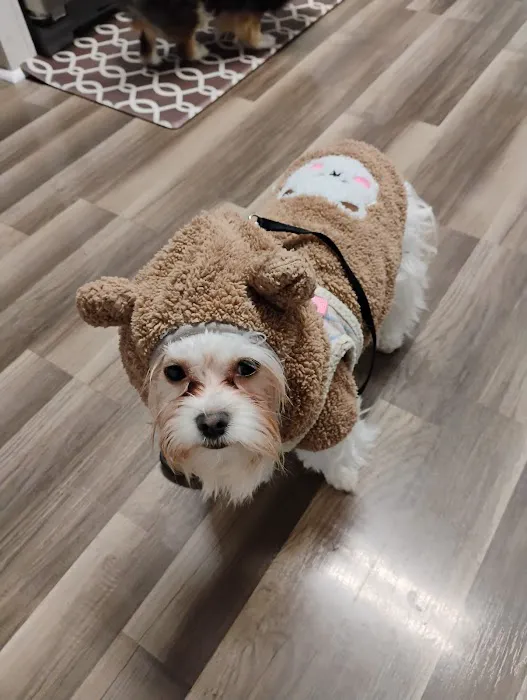 Rain or shine pets LLC 5