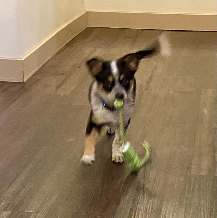 Riverton Veterinary Clinic 10