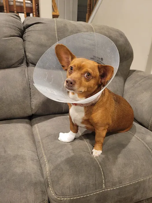 Riverton Veterinary Clinic 1
