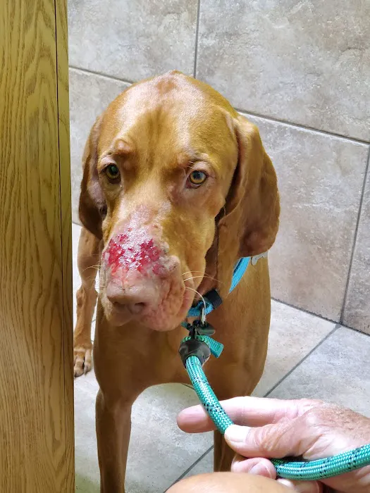 Stone Ridge Veterinary Clinic 8