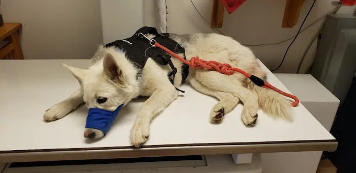 Stone Ridge Veterinary Clinic 9