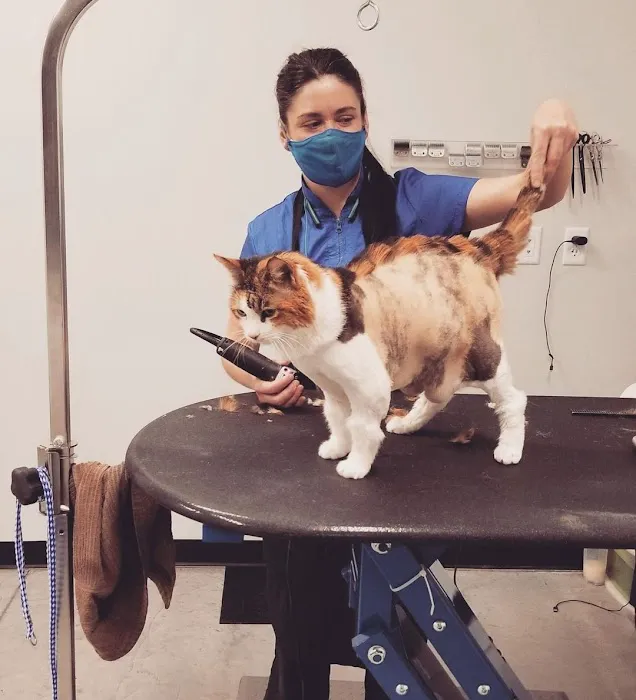 Copper View Animal Hospital 3