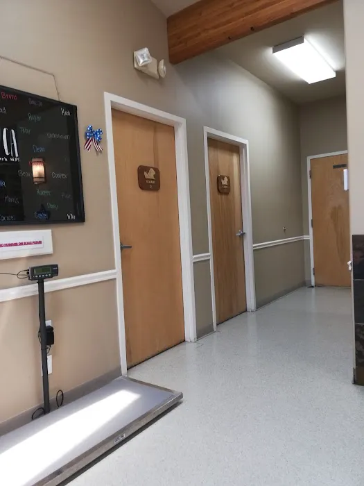 VCA Oquirrh Hills Animal Hospital 6