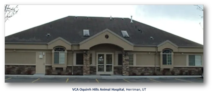 VCA Oquirrh Hills Animal Hospital 10