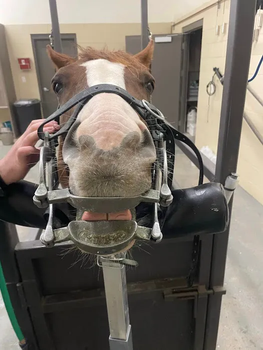 Mountain Point Equine Hospital 5